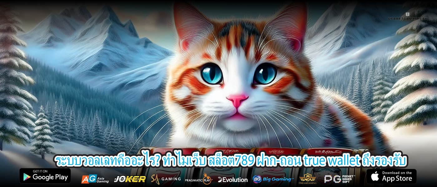 ระบบวอลเลทคืออะไร? ทำไมเว็บ สล็อต789 ฝาก-ถอน true wallet ถึงรองรับ